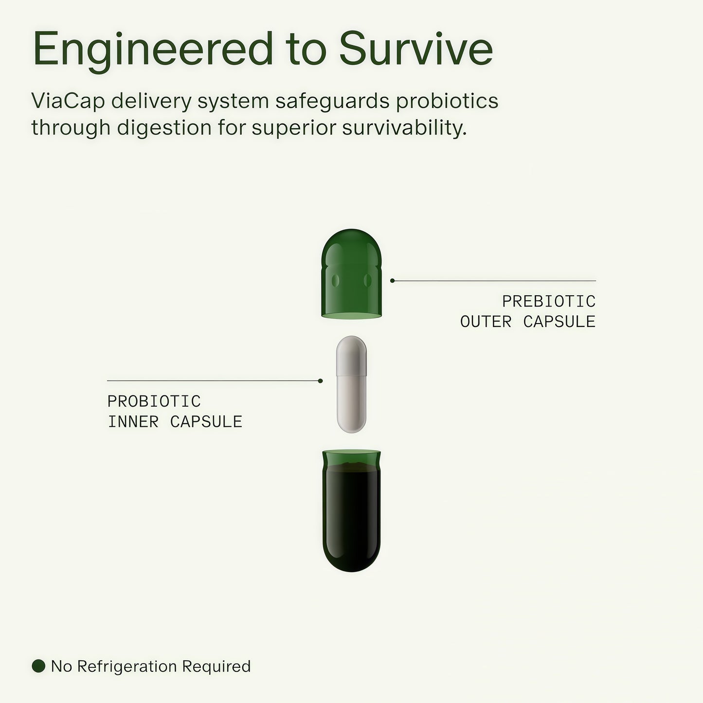 Daily Synbiotic